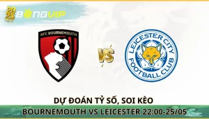 Bournemouth vs Leicester