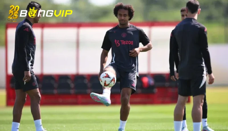 Ferdinand lo Man Utd bị Tottenham khai thác điểm yếu thể lực Trận đấu mang tính bản lề