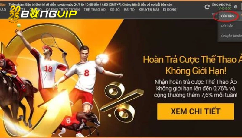 Hoàn trả thể thao trực tuyến Tỷ lệ hoàn trả thể thao trực tuyến cụ thể và cách tính