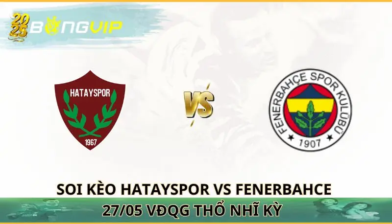 soi kèo Hatayspor vs Fenerbahce