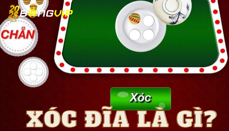 xóc đĩa là gì Xóc đĩa là gì và tại sao lại được chú ý đến vậy